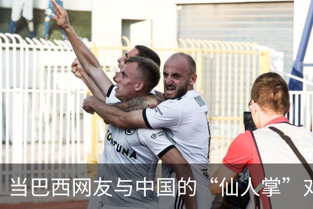 当巴西网友与中国的“仙人掌”对话时